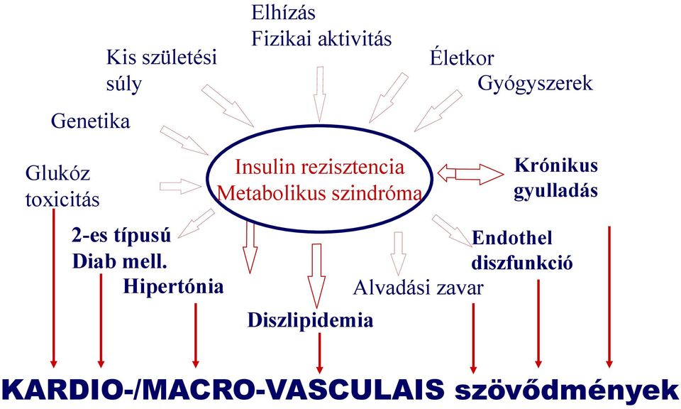 Hipertónia Insulin rezisztencia Metabolikus szindróma Diszlipidemia