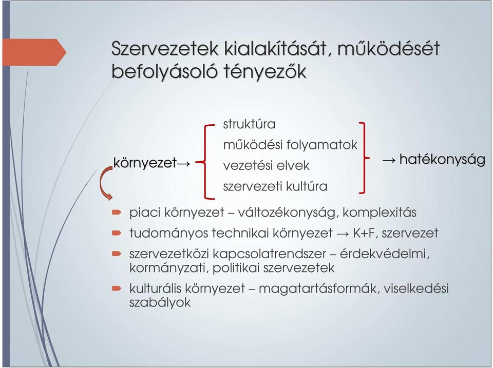 komplexitás tudományos technikai környezet K+F, szervezet szervezetközi kapcsolatrendszer