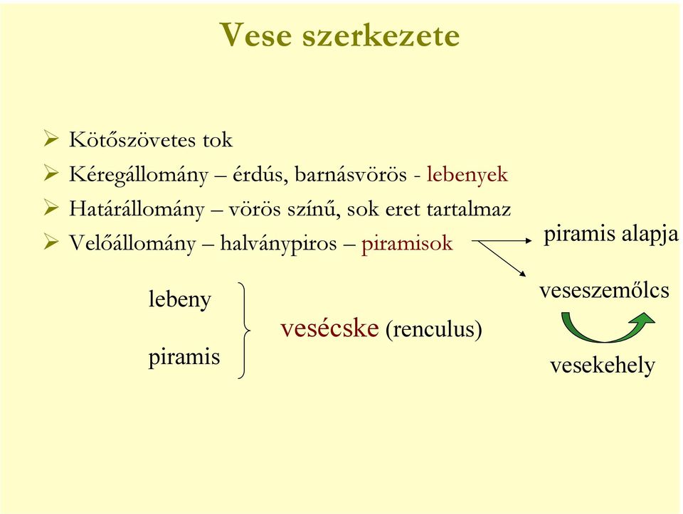 eret tartalmaz Velőállomány halványpiros piramisok