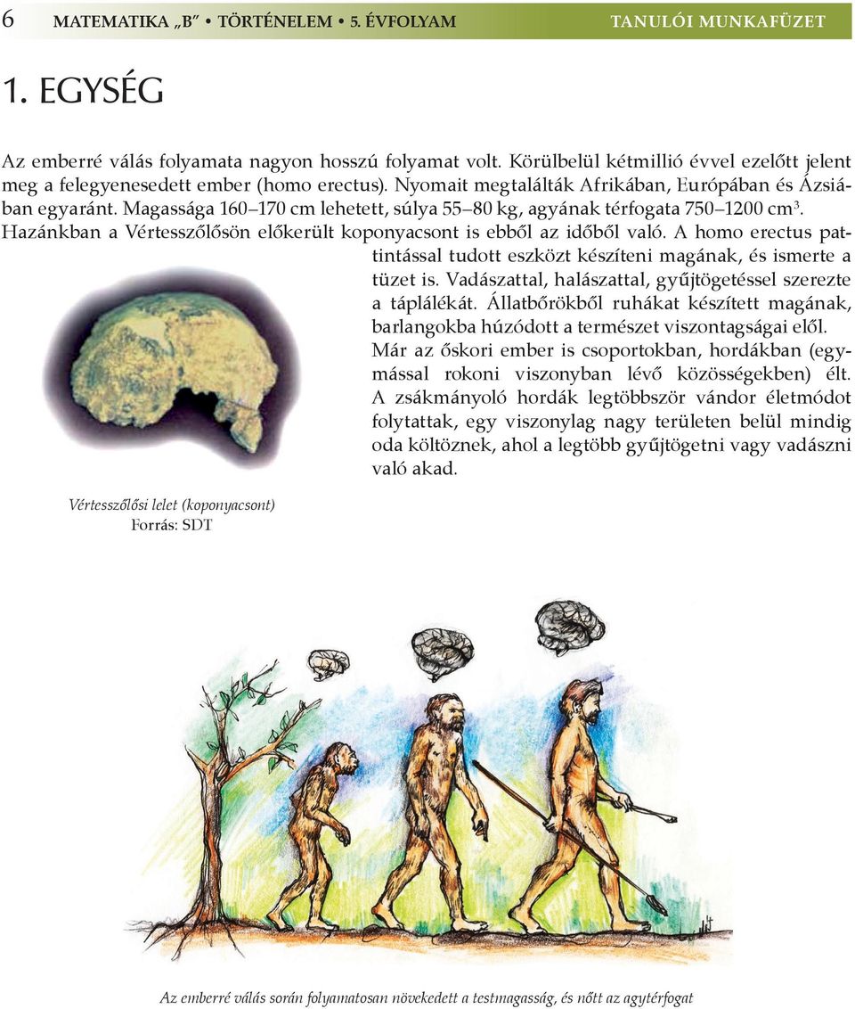 Magassága 160 170 cm lehetett, súlya 55 80 kg, agyának térfogata 750 1200 cm 3. Hazánkban a Vértesszôlôsön elôkerült koponyacsont is ebbôl az idôbôl való.