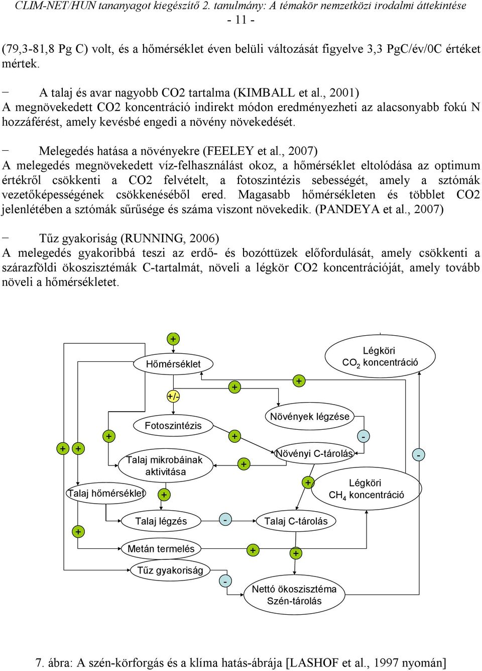 , 2007) A melegedés megnövekedett víz-felhasználást okoz, a hőmérséklet eltolódása az optimum értékről csökkenti a CO2 felvételt, a fotoszintézis sebességét, amely a sztómák vezetőképességének