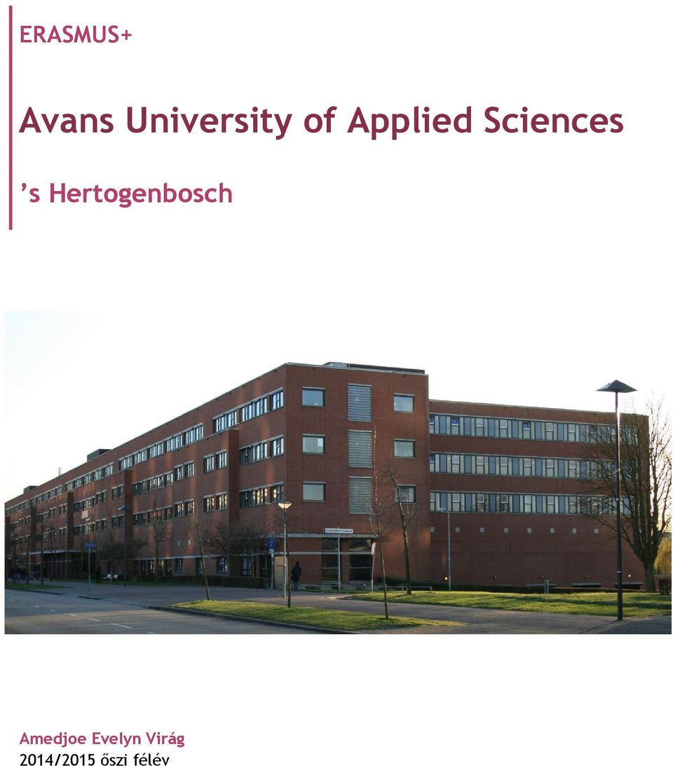 Hertogenbosch Amedjoe