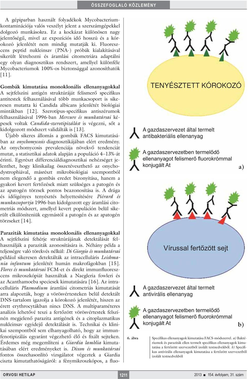 Fluoreszcens peptid nukleinsav (PNA-) próbák kialakításával sikerült létrehozni és áramlási citometriára adaptálni egy olyan diagnosztikus rendszert, amellyel különféle Mycobacteriumok 100%-os