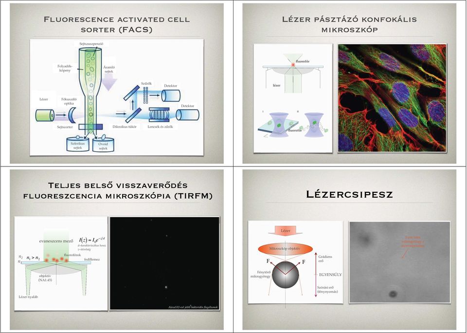 fluoreszcencia mikroszkópia (TIRFM) Lézercsipesz Lézer evaneszcens mező Iz ()= I 0 e zd d=karakterisztkus hossz z=távolság Mikroszkóp objektív n 2 n 1 n 1 > n