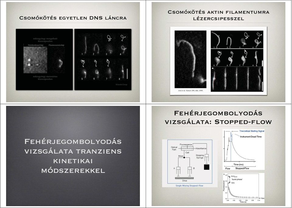 mikrogyöngy stacionárius lézercsipeszben Kinosita Group Arai et al.