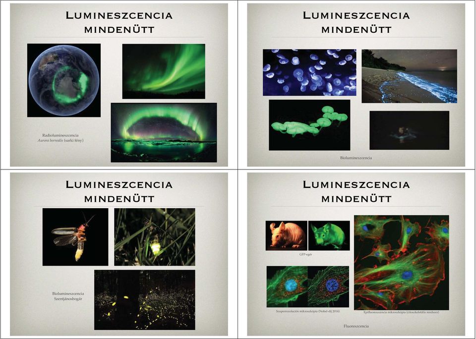 mindenütt GFP-egér Biolumineszcencia Szentjánosbogár Szuperrezoluciós mikroszkópia