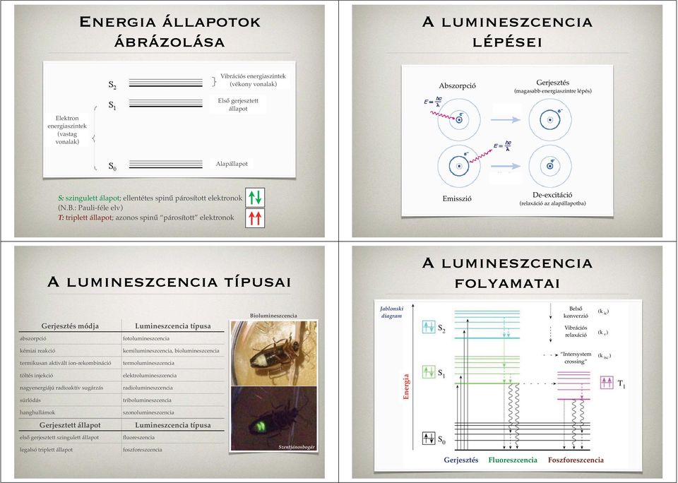 : Pauli-féle elv) T: triplett állapot; azonos spinű párosított elektronok Emisszió De-excitáció (relaxáció az alapállapotba) A lumineszcencia típusai A lumineszcencia folyamatai abszorpció Gerjesztés