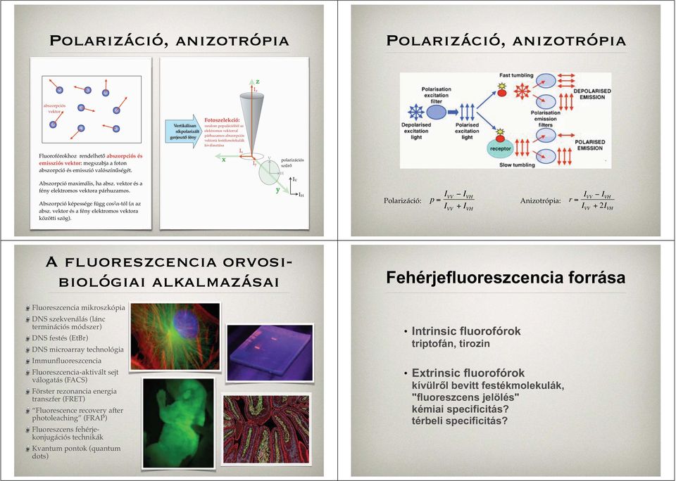 I x I y V polarizációs szűrő H Abszorpció maximális, ha absz. vektor és a fény elektromos vektora párhuzamos. Abszorpció képessége függ cos 2 α-tól (α az absz.