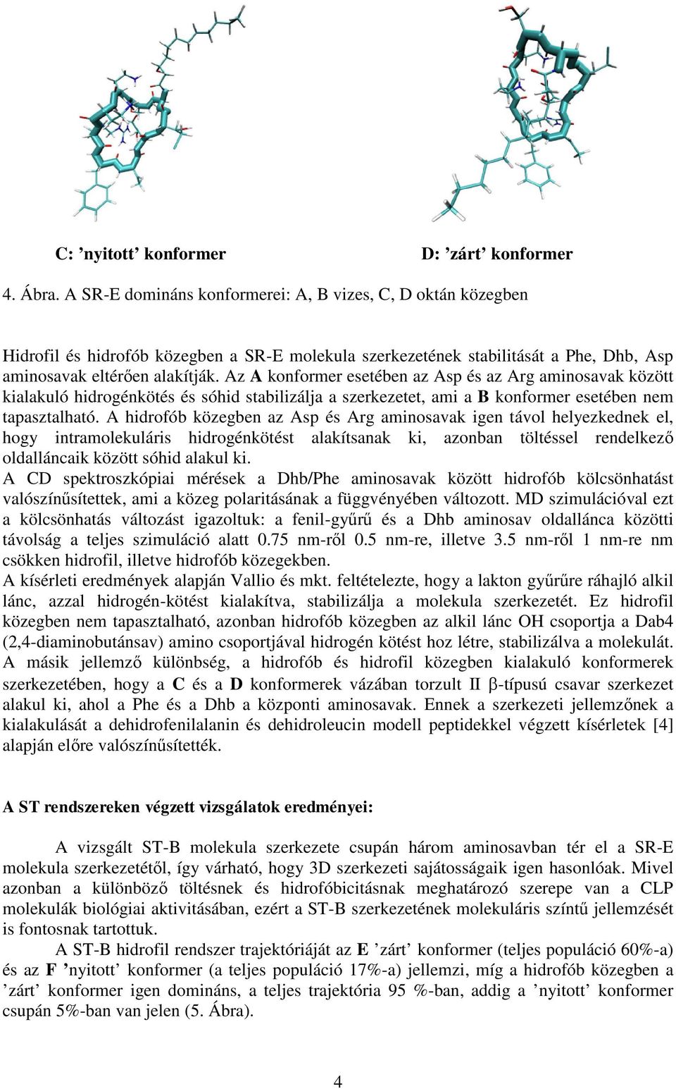 Az A konformer esetében az Asp és az Arg aminosavak között kialakuló hidrogénkötés és sóhid stabilizálja a szerkezetet, ami a B konformer esetében nem tapasztalható.