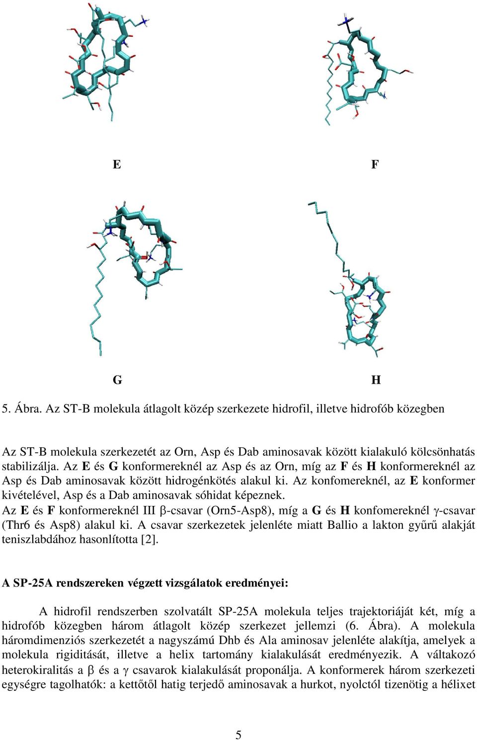 Az konfomereknél, az E konformer kivételével, Asp és a Dab aminosavak sóhidat képeznek. Az E és F konformereknél III -csavar (Orn5-Asp8), míg a G és H konfomereknél -csavar (Thr6 és Asp8) alakul ki.