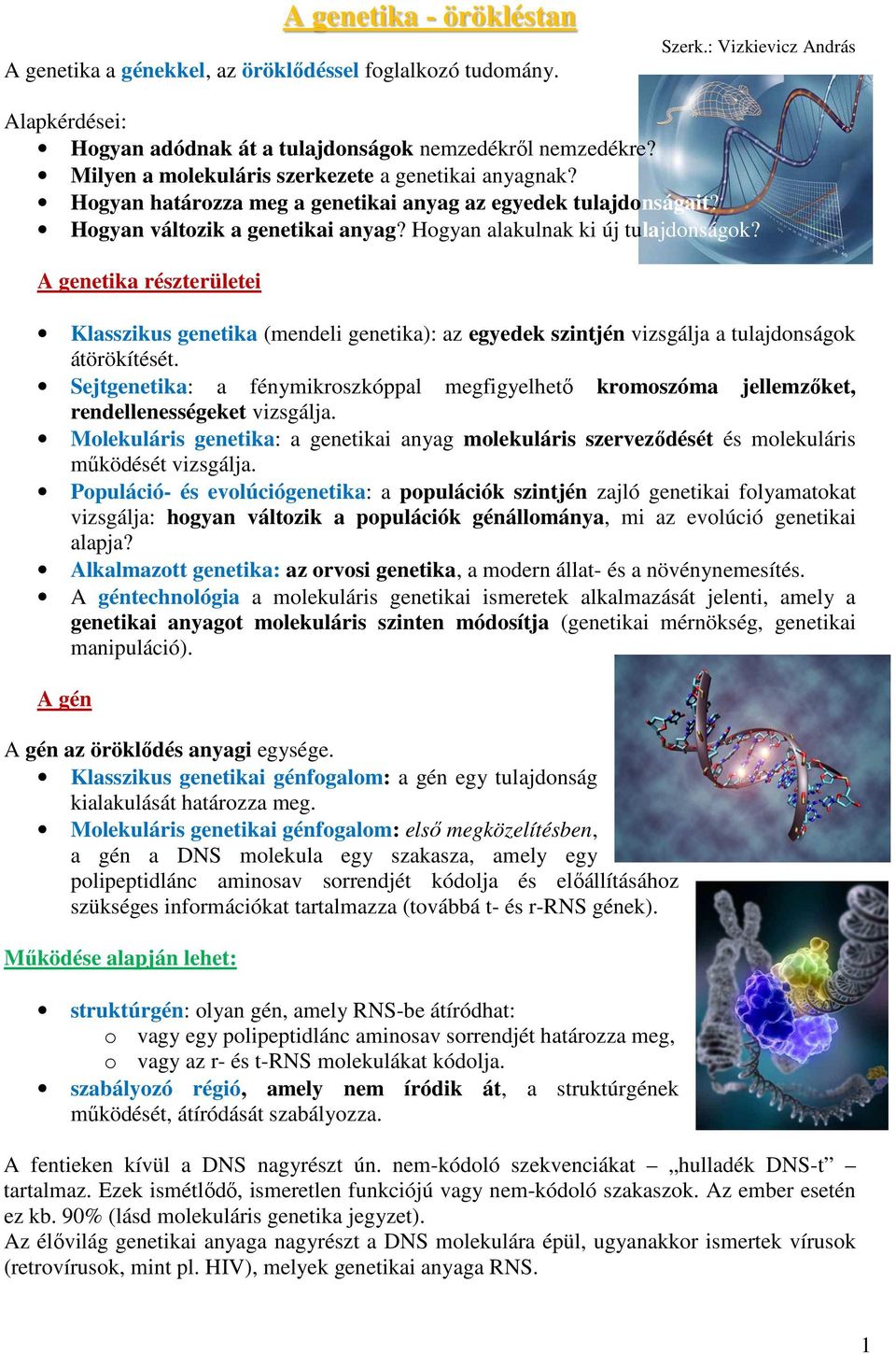 A genetika részterületei Klasszikus genetika (mendeli genetika): az egyedek szintjén vizsgálja a tulajdonságok átörökítését.