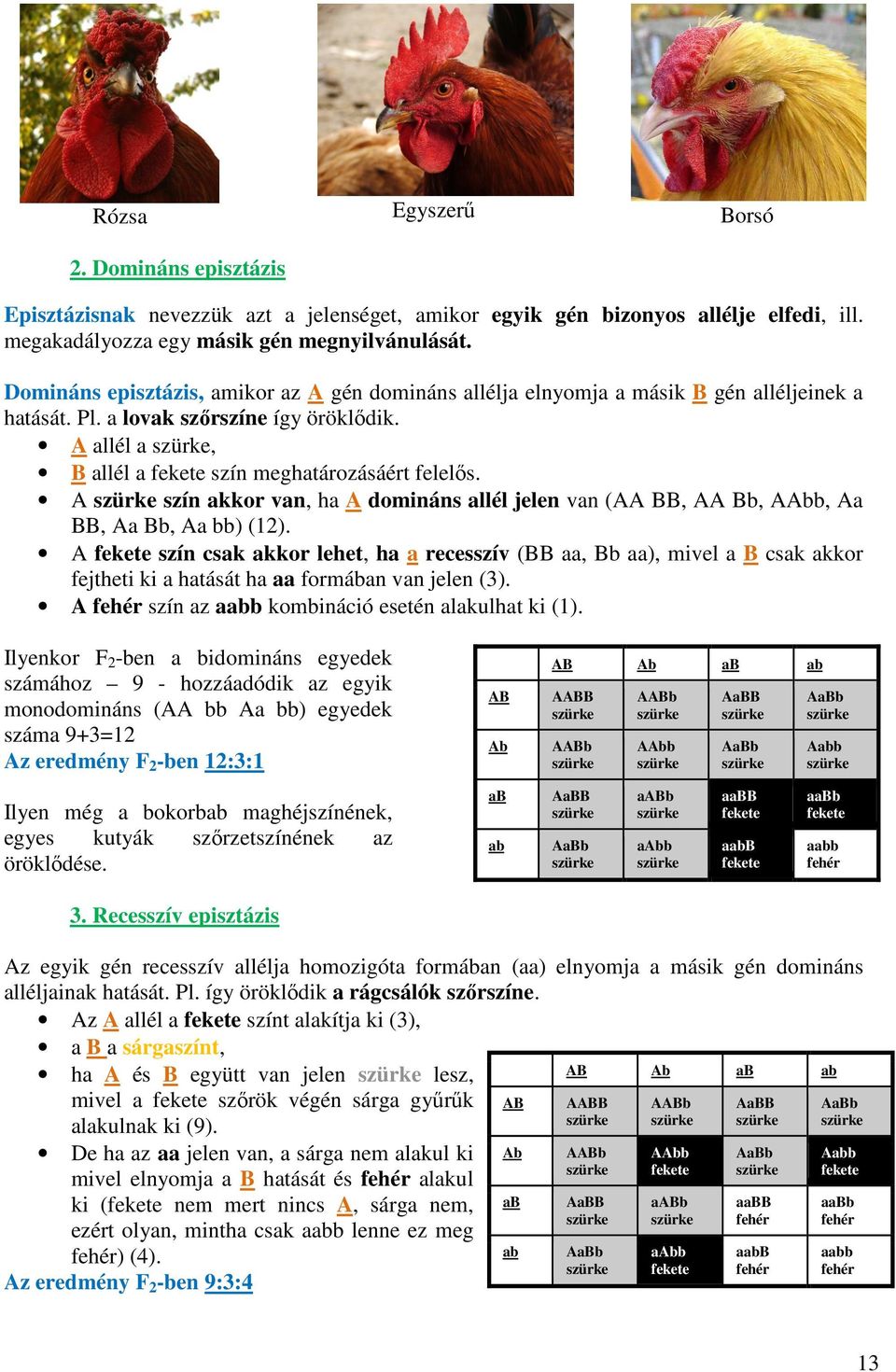 A szín akkor van, ha A domináns allél jelen van (AA BB, AA Bb, AAbb, Aa BB, Aa Bb, Aa bb) (12).