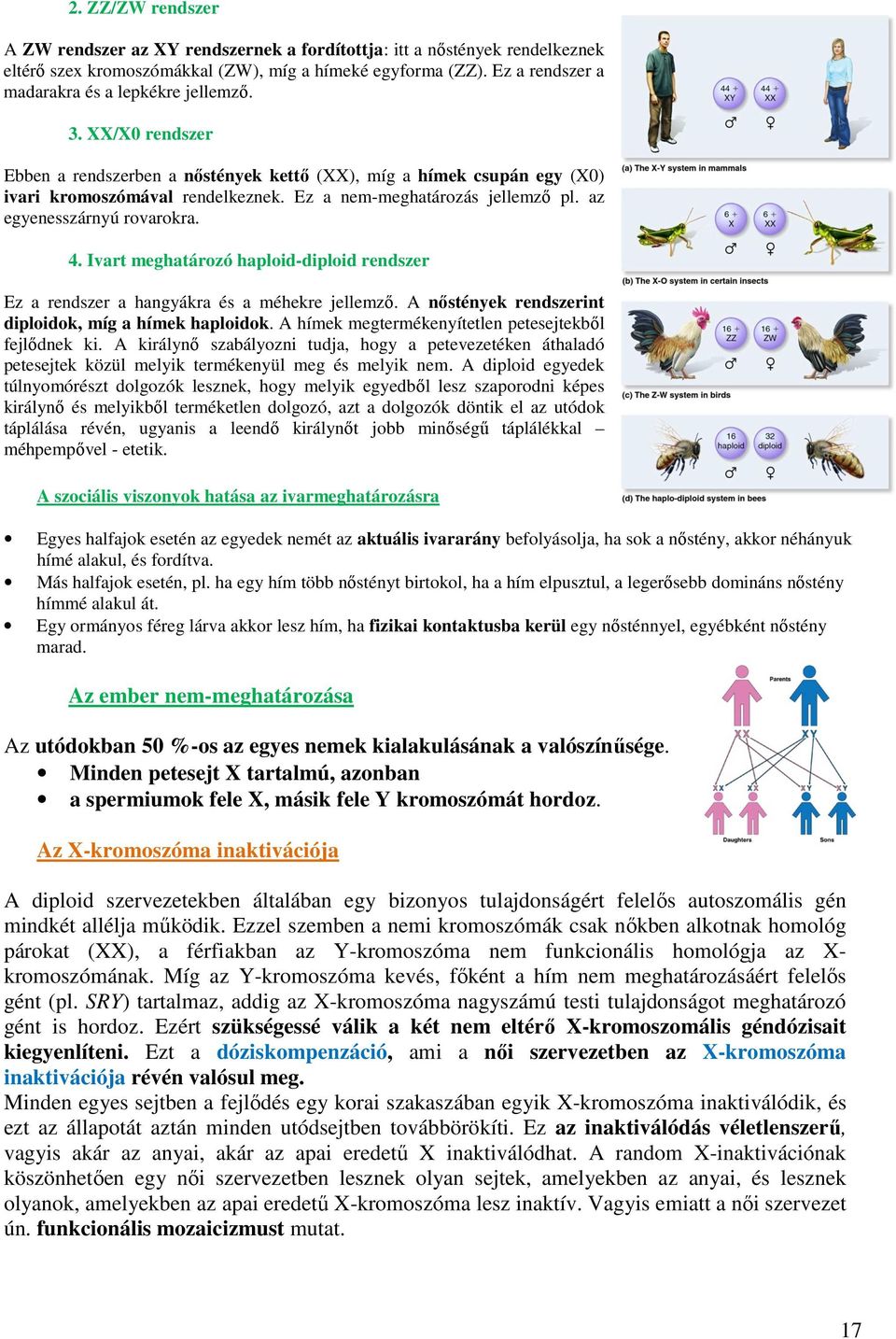 Ez a nem-meghatározás jellemző pl. az egyenesszárnyú rovarokra. 4. Ivart meghatározó haploid-diploid rendszer Ez a rendszer a hangyákra és a méhekre jellemző.