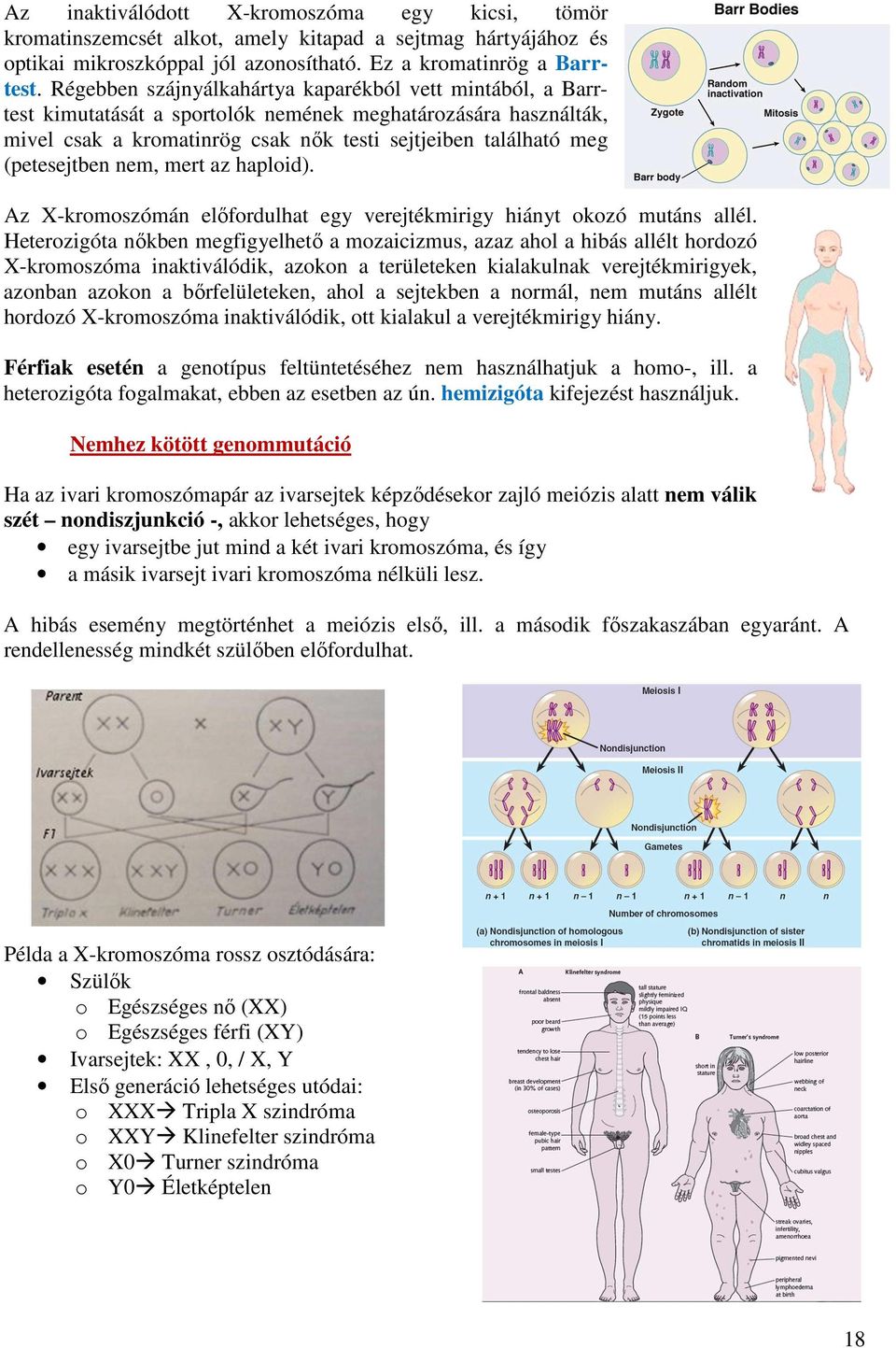 (petesejtben nem, mert az haploid). Az X-kromoszómán előfordulhat egy verejtékmirigy hiányt okozó mutáns allél.