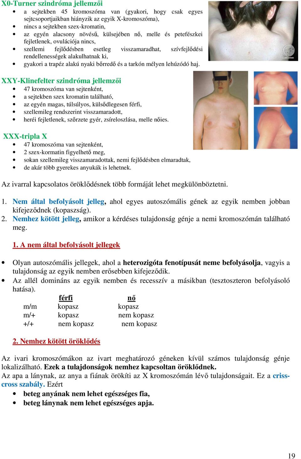 a tarkón mélyen lehúzódó haj.