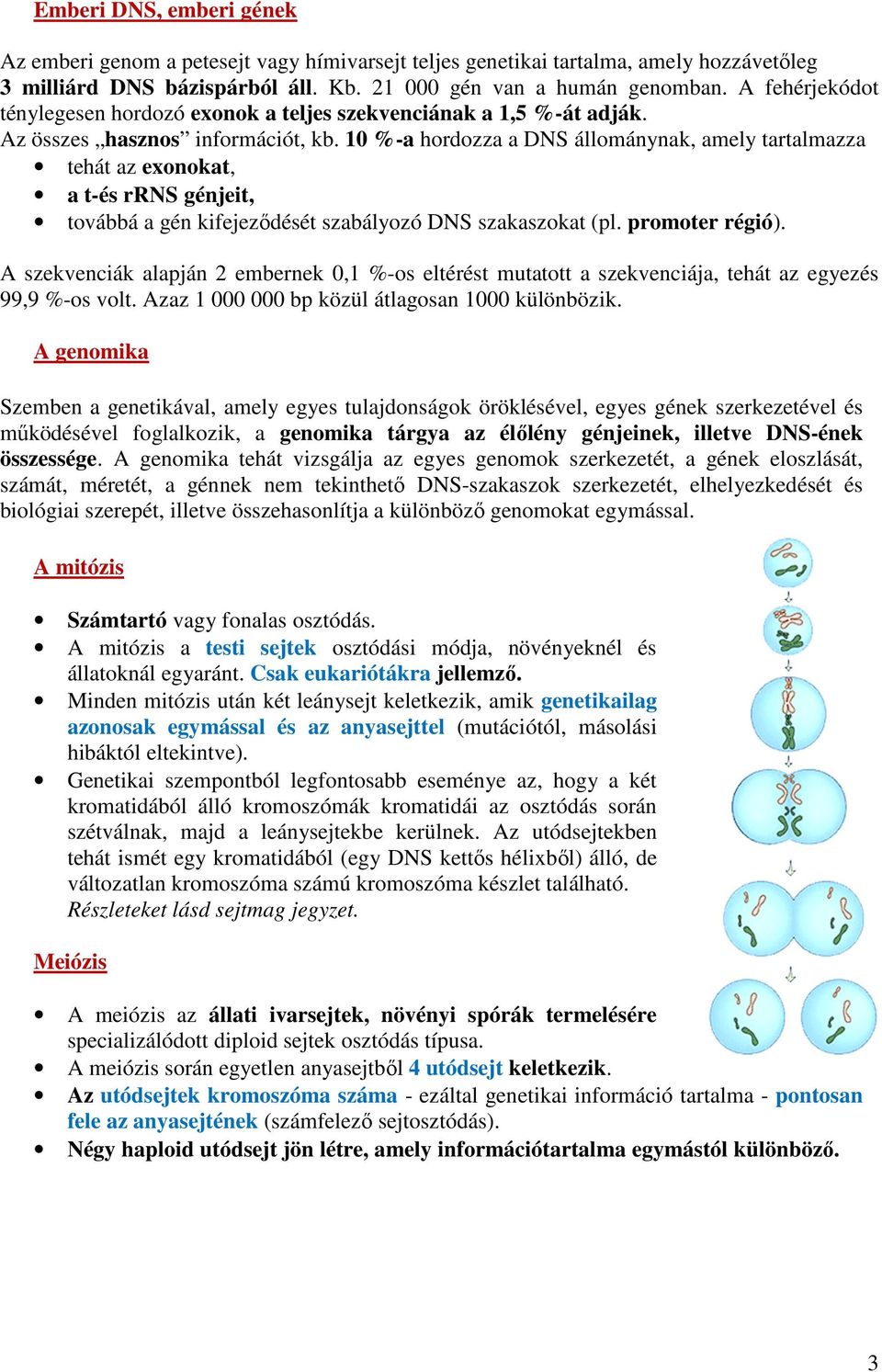 10 %-a hordozza a DNS állománynak, amely tartalmazza tehát az exonokat, a t-és rrns génjeit, továbbá a gén kifejeződését szabályozó DNS szakaszokat (pl. promoter régió).
