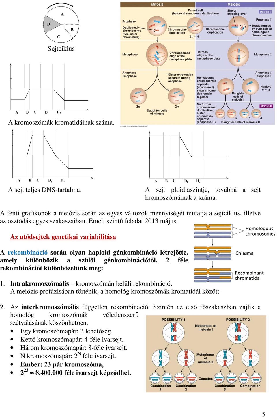 Az utódsejtek genetikai variabilitása A rekombináció során olyan haploid génkombináció létrejötte, amely különbözik a szülői génkombinációtól. 2 féle rekombinációt különbözetünk meg: 1.