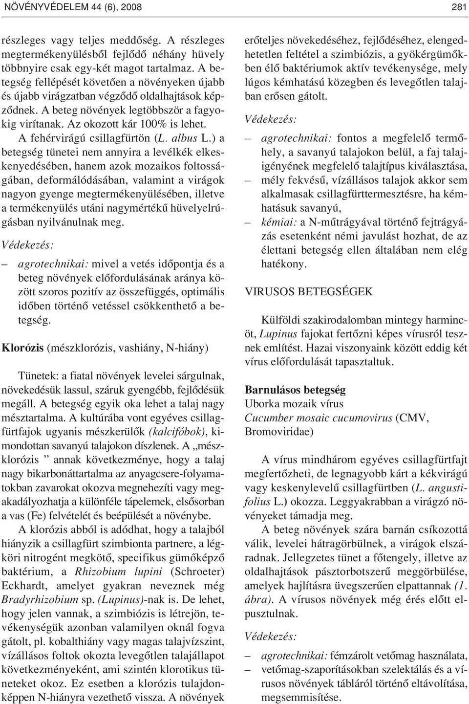 A fehérvirágú csillagfürtön (L. albus L.