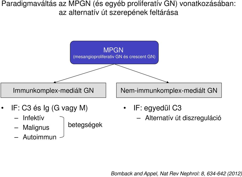 IF: C3 és Ig (G vagy M) Infektív Malignus betegségek Autoimmun Nem-immunkomplex-mediált GN