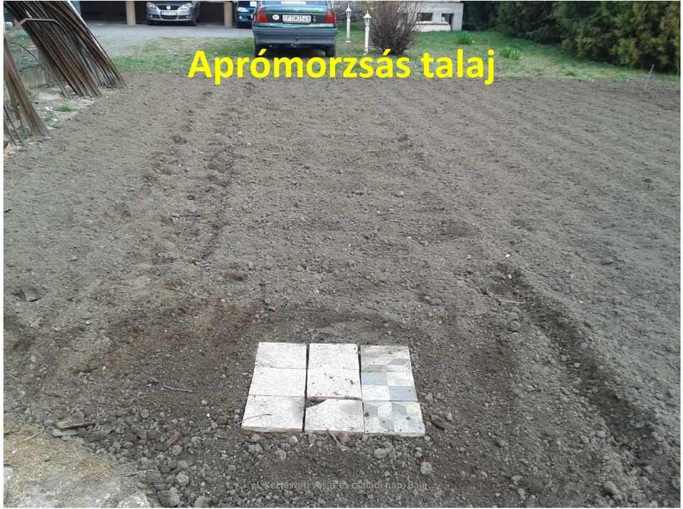 Kertészeti vásár