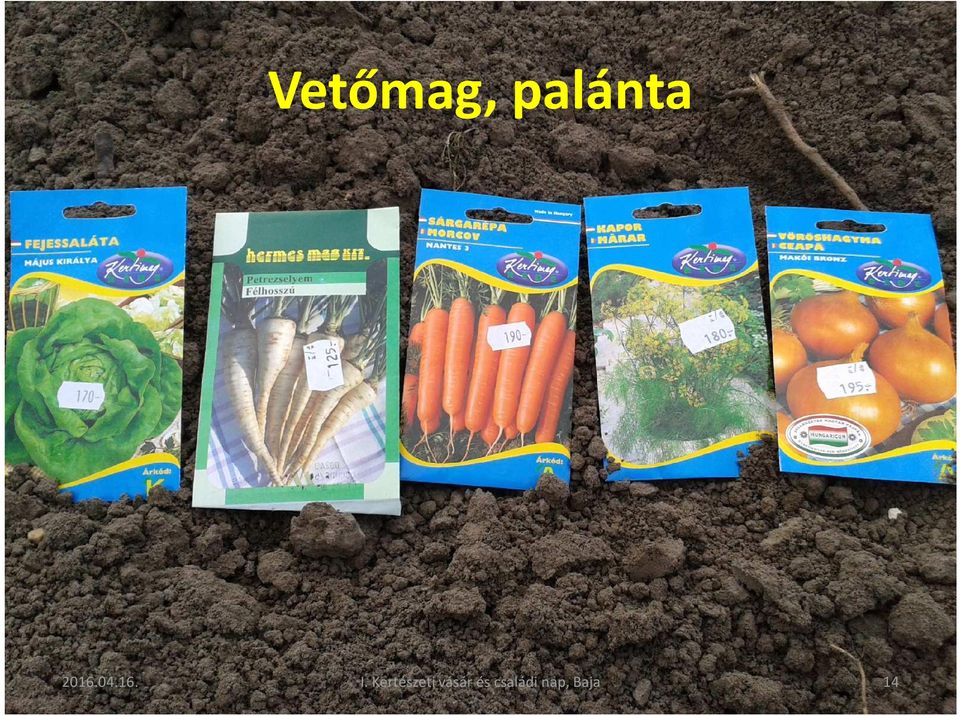 Kertészeti vásár