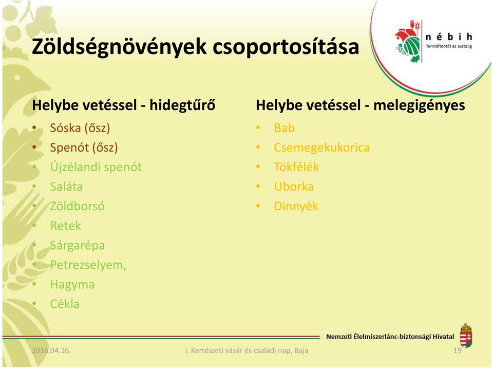 Petrezselyem, Hagyma Cékla Helybe vetéssel - melegigényes Bab