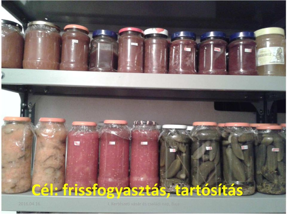 Kertészeti vásár és