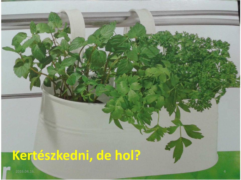 Kertészeti vásár