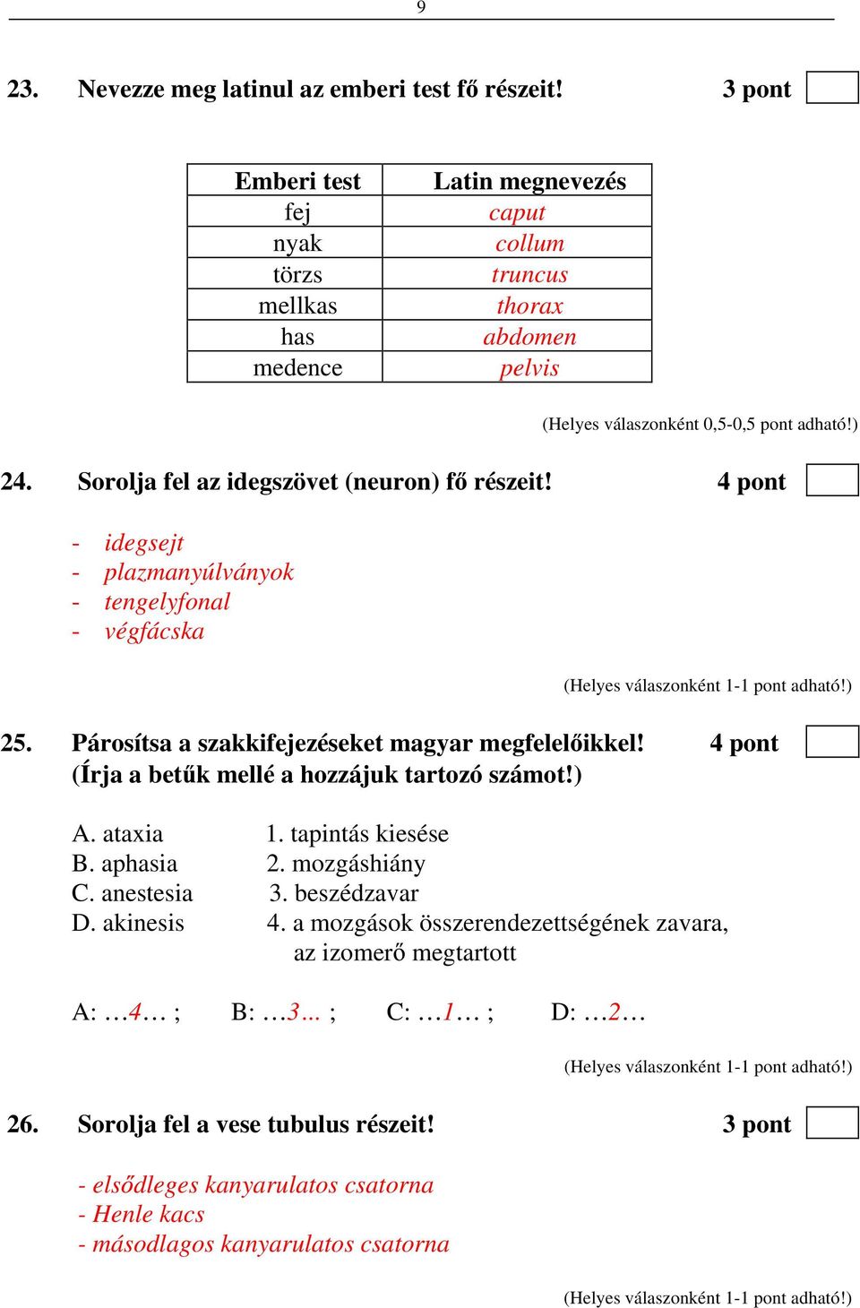 Sorolja fel az idegszövet (neuron) f részeit! 4 pont - idegsejt - plazmanyúlványok - tengelyfonal - végfácska 25. Párosítsa a szakkifejezéseket magyar megfelel ikkel!