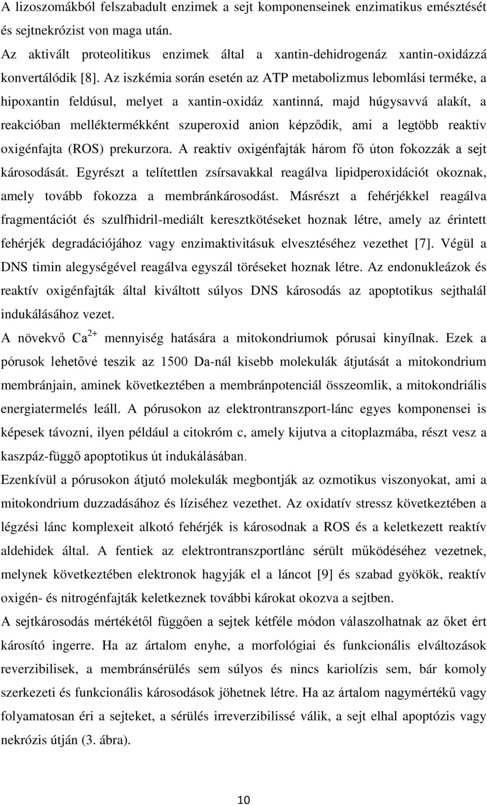 Az iszkémia során esetén az ATP metabolizmus lebomlási terméke, a hipoxantin feldúsul, melyet a xantin-oxidáz xantinná, majd húgysavvá alakít, a reakcióban melléktermékként szuperoxid anion képződik,
