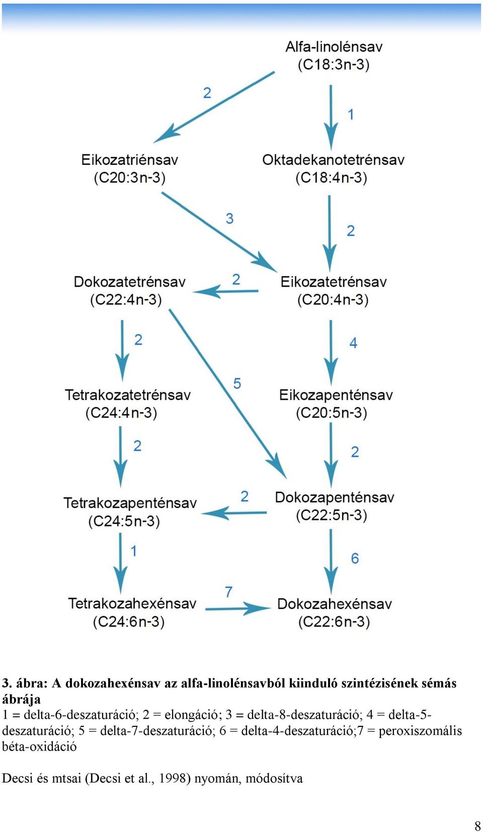 delta-5- deszaturáció; 5 = delta-7-deszaturáció; 6 = delta-4-deszaturáció;7 =