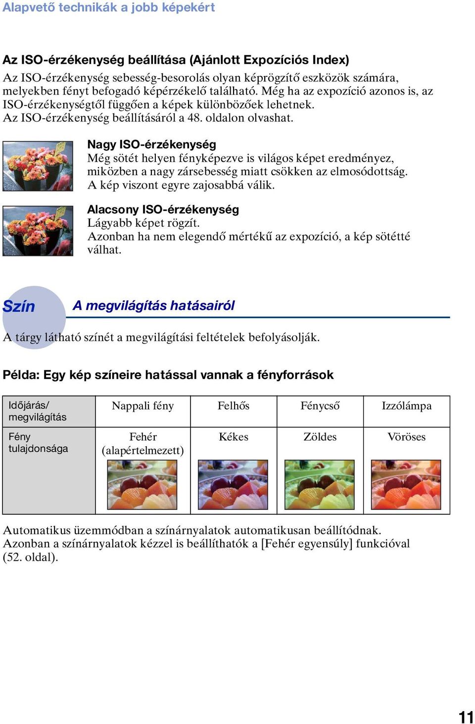 Nagy ISO-érzékenység Még sötét helyen fényképezve is világos képet eredményez, miközben a nagy zársebesség miatt csökken az elmosódottság. A kép viszont egyre zajosabbá válik.