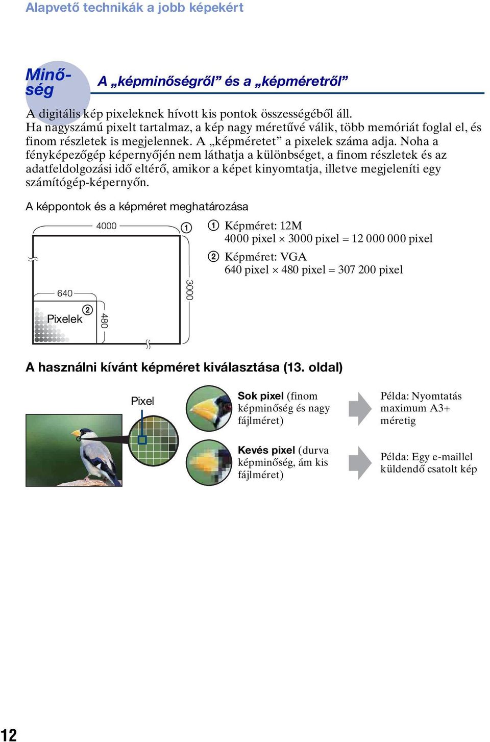 Noha a fényképezőgép képernyőjén nem láthatja a különbséget, a finom részletek és az adatfeldolgozási idő eltérő, amikor a képet kinyomtatja, illetve megjeleníti egy számítógép-képernyőn.