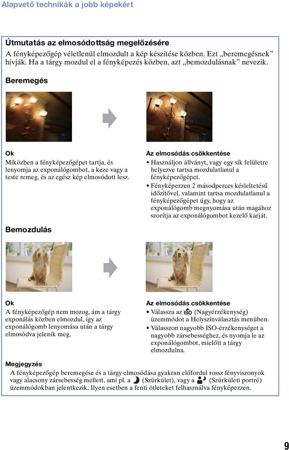 Beremegés Ok Miközben a fényképezőgépet tartja, és lenyomja az exponálógombot, a keze vagy a teste remeg, és az egész kép elmosódott lesz.
