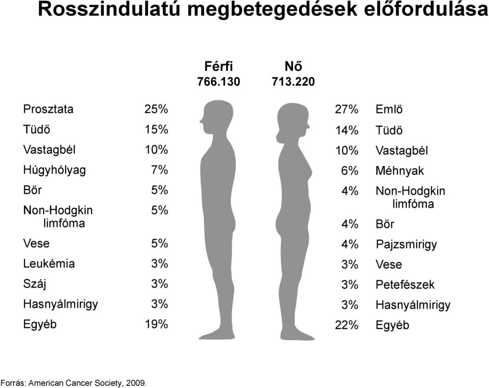 Leukémia 3% Száj 3% Hasnyálmirigy 3% Egyéb 19% 27% Emlő 14% Tüdő 10% Vastagbél 6% Méhnyak 4%