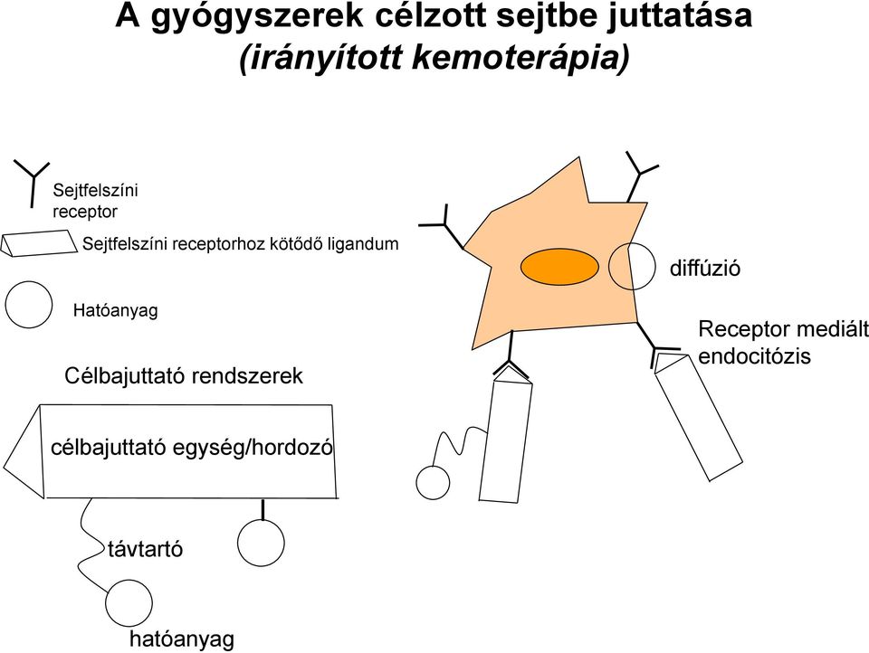 kötődő ligandum Hatóanyag Célbajuttató rendszerek diffúzió
