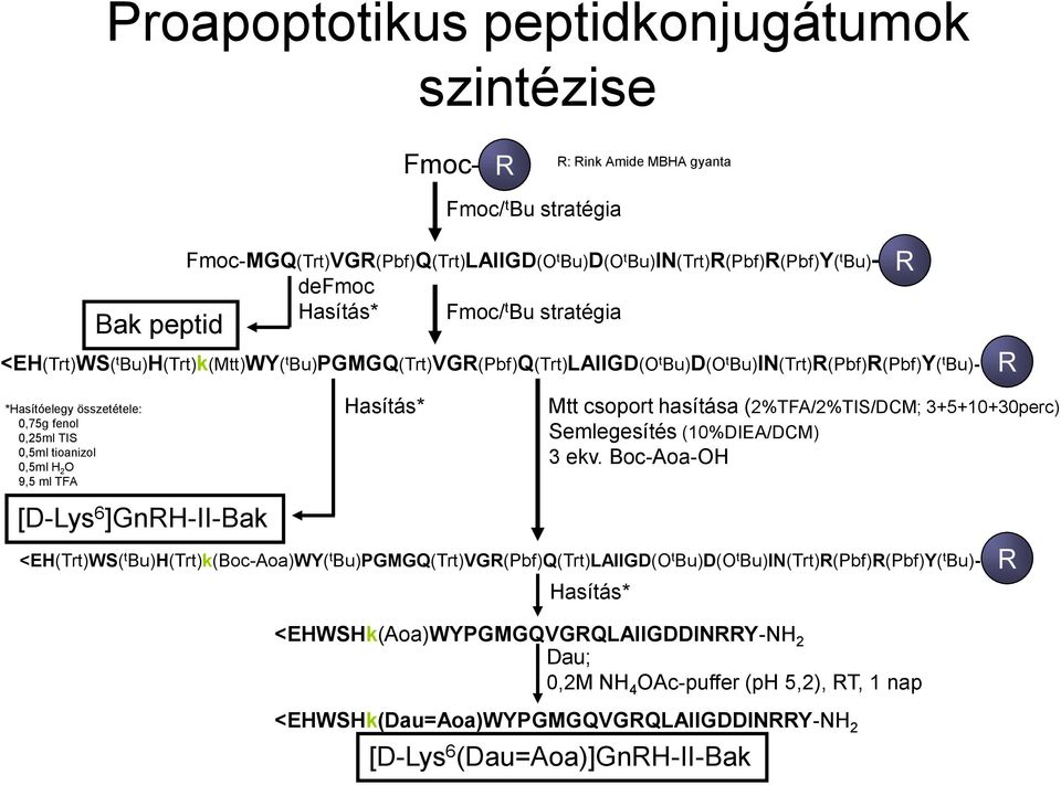 0,5ml H 2 O 9,5 ml TFA Bak peptid [D-Lys 6 ]GnRH-II-Bak Hasítás* Mtt csoport hasítása (2%TFA/2%TIS/DCM; 3+5+10+30perc) Semlegesítés (10%DIEA/DCM) 3 ekv.
