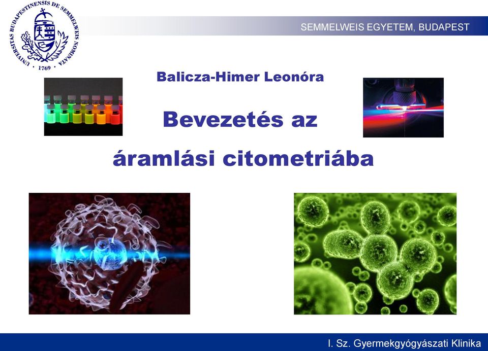 Bevezetés az