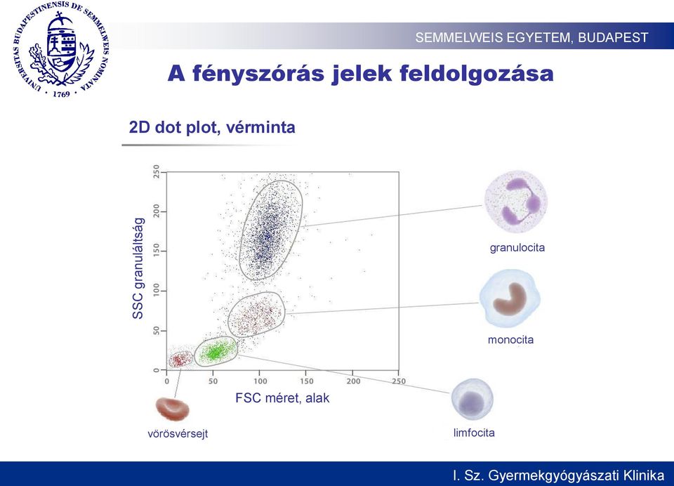 vérminta granulocita monocita