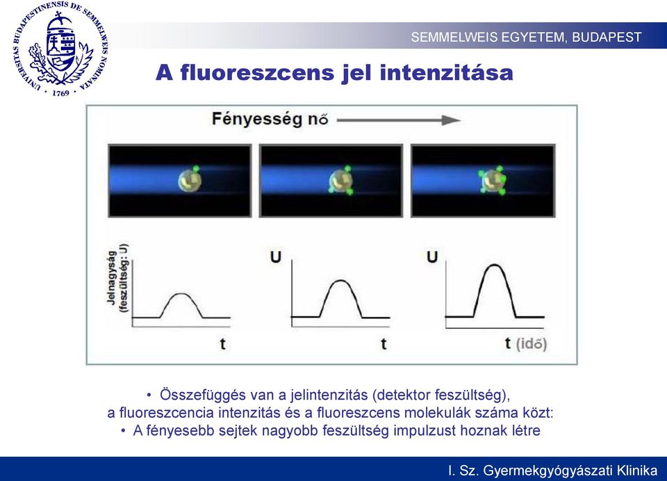 intenzitás és a fluoreszcens molekulák száma közt: A
