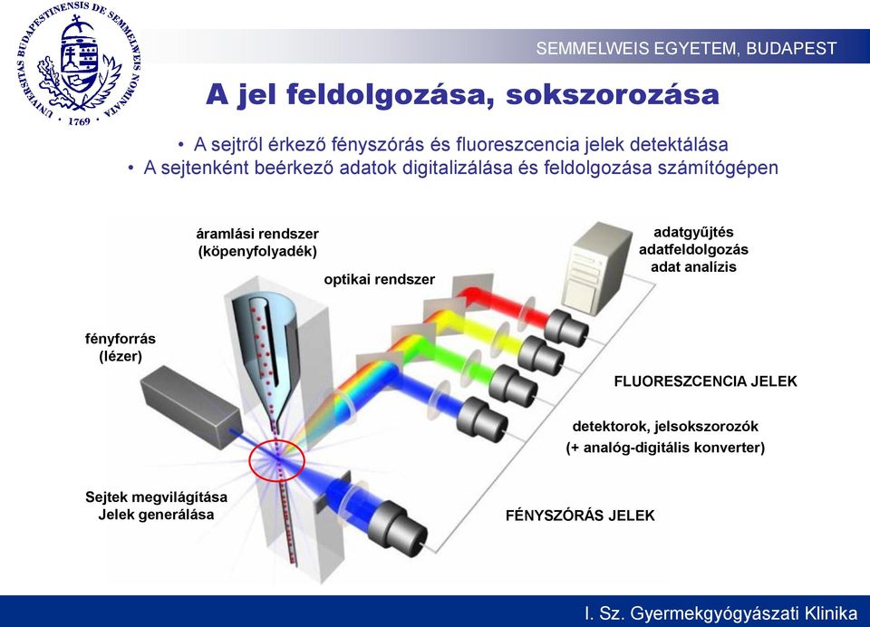 (köpenyfolyadék) optikai rendszer adatgyűjtés adatfeldolgozás adat analízis fényforrás (lézer)