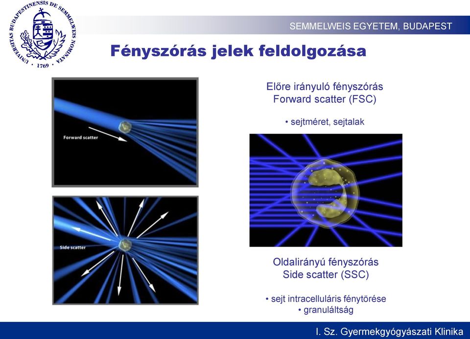 sejtalak Oldalirányú fényszórás Side scatter