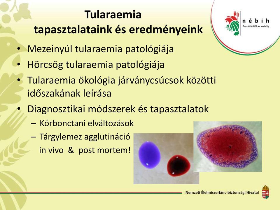 járványcsúcsok közötti időszakának leírása Diagnosztikai módszerek és