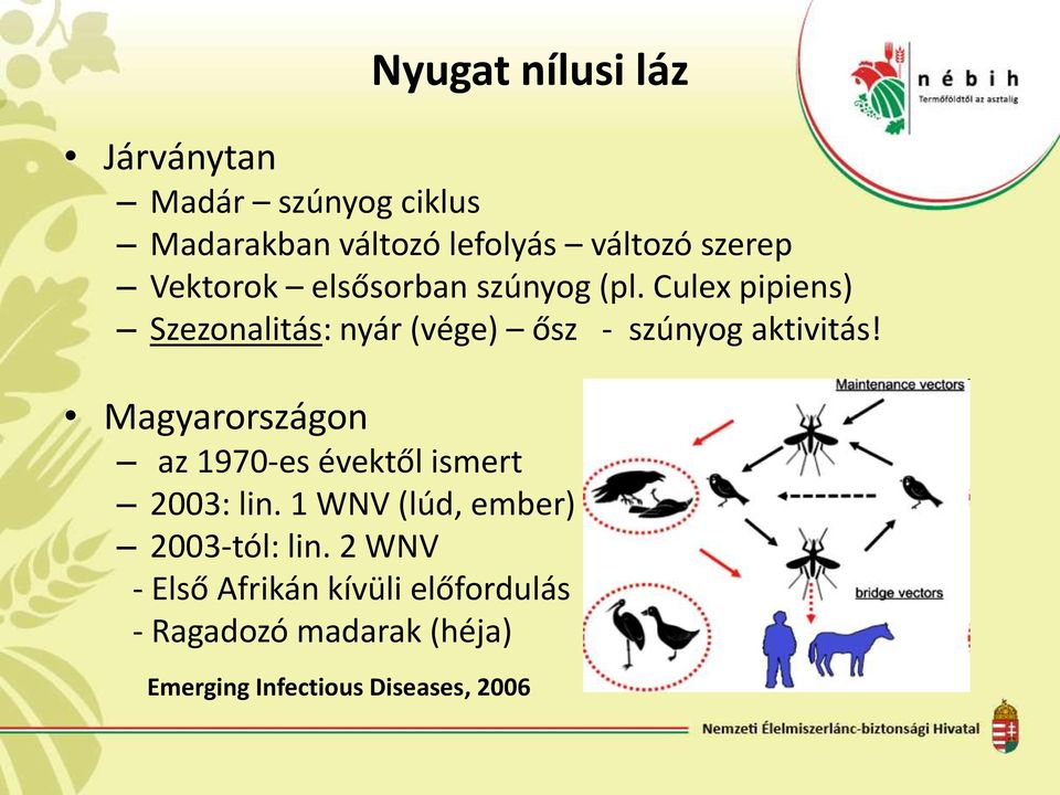 Culex pipiens) Szezonalitás: nyár (vége) ősz - szúnyog aktivitás!