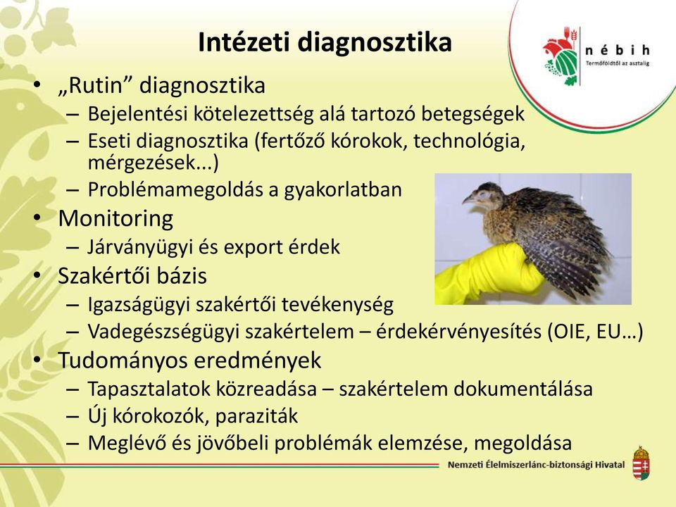 ..) Problémamegoldás a gyakorlatban Monitoring Járványügyi és export érdek Szakértői bázis Igazságügyi szakértői