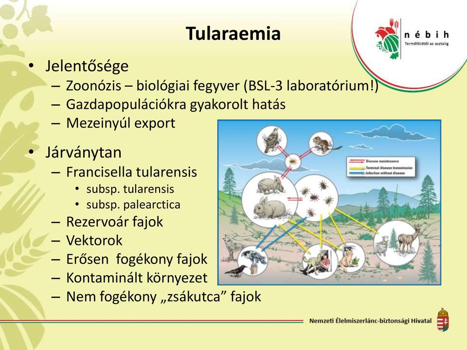 Francisella tularensis subsp.