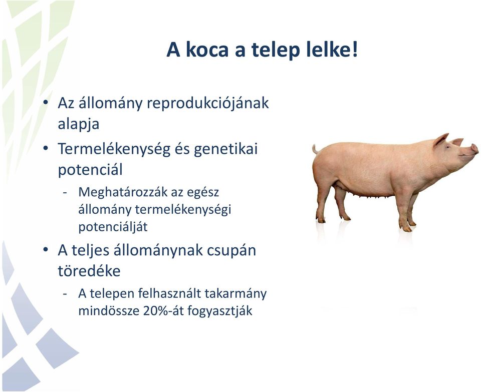 potenciál - Meghatározzák az egész állomány termelékenységi