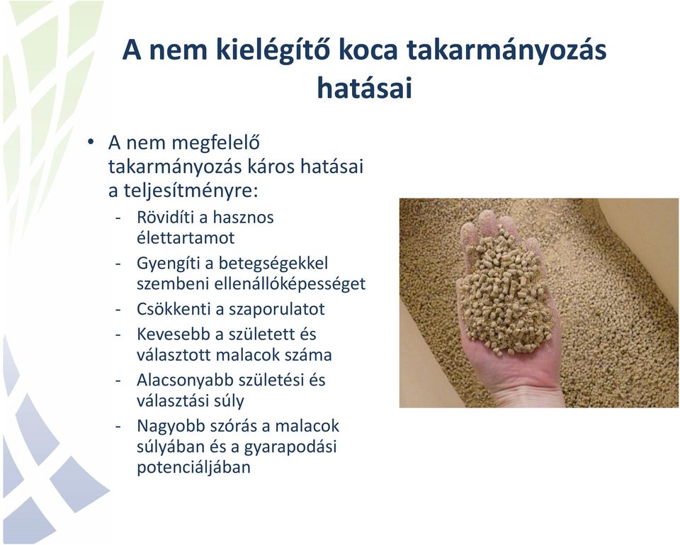 ellenállóképességet - Csökkenti a szaporulatot - Kevesebb a született és választott malacok