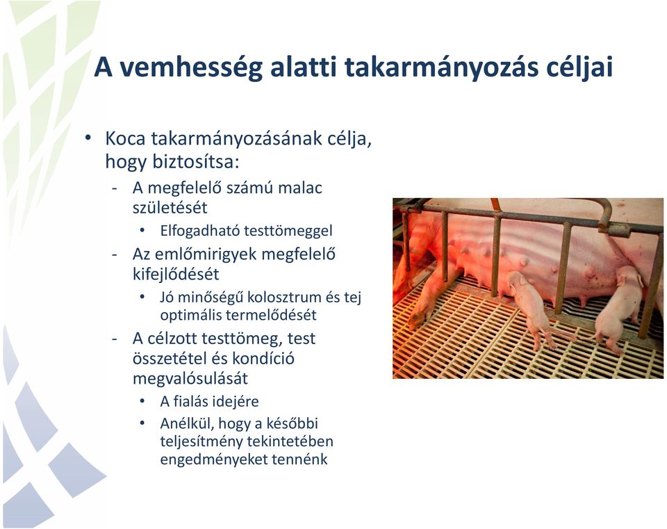 Jó minőségű kolosztrumés tej optimális termelődését - A célzott testtömeg, test összetétel és