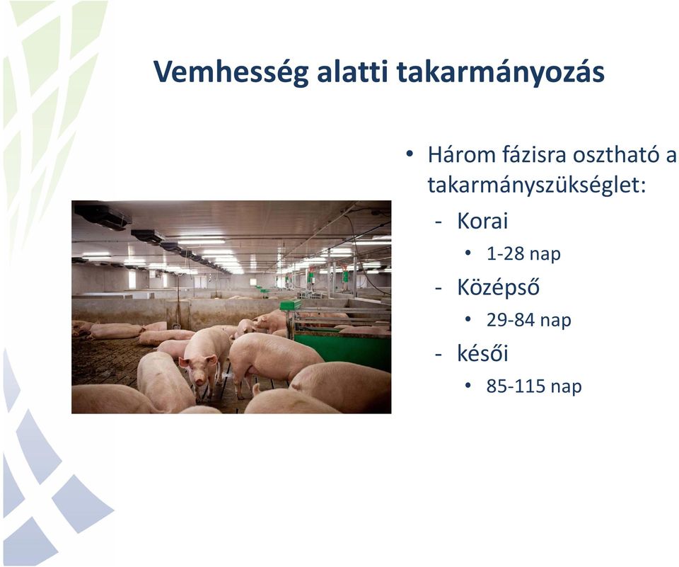 takarmányszükséglet: - Korai